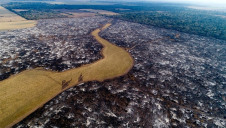 Scorched earth in Argentina, image Mighty Earth
